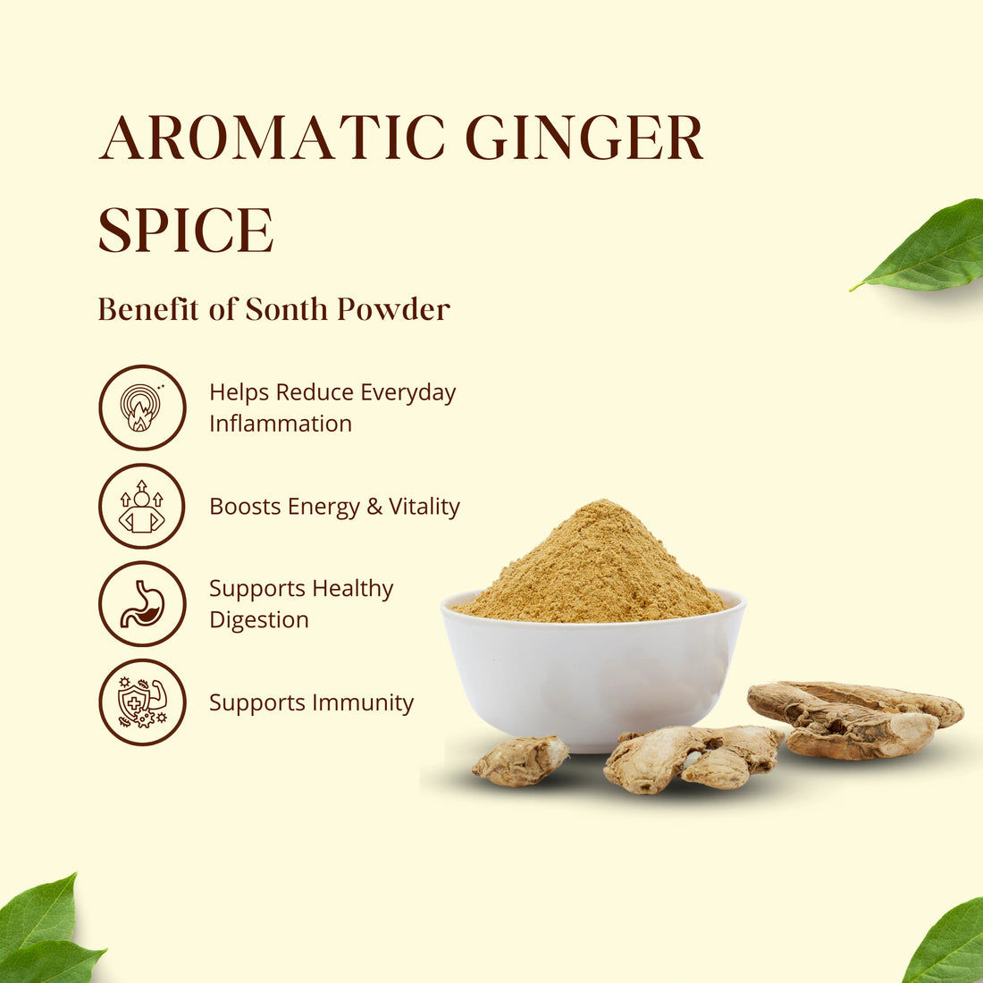 Sonth Powder | सोंठ पाउडर | Aromatic Ginger Spice