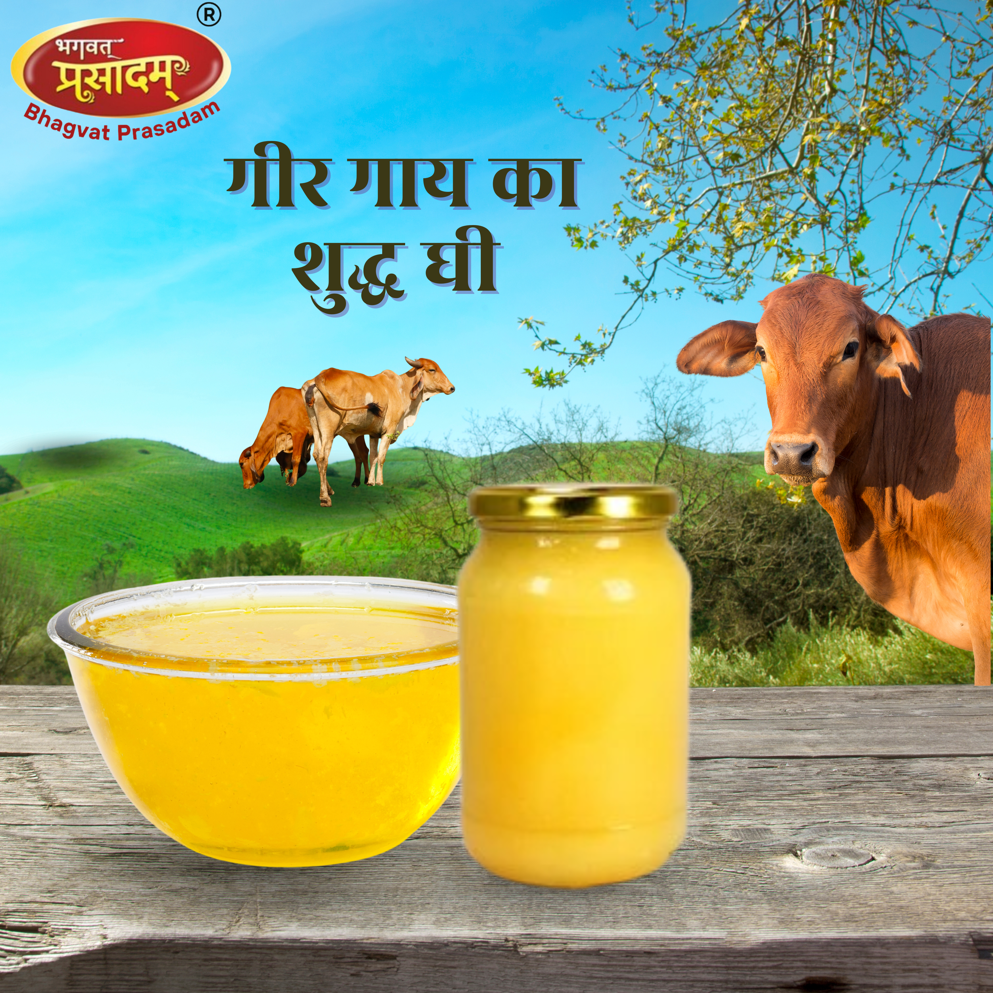 Healthy Pure Gir Cow Ghee