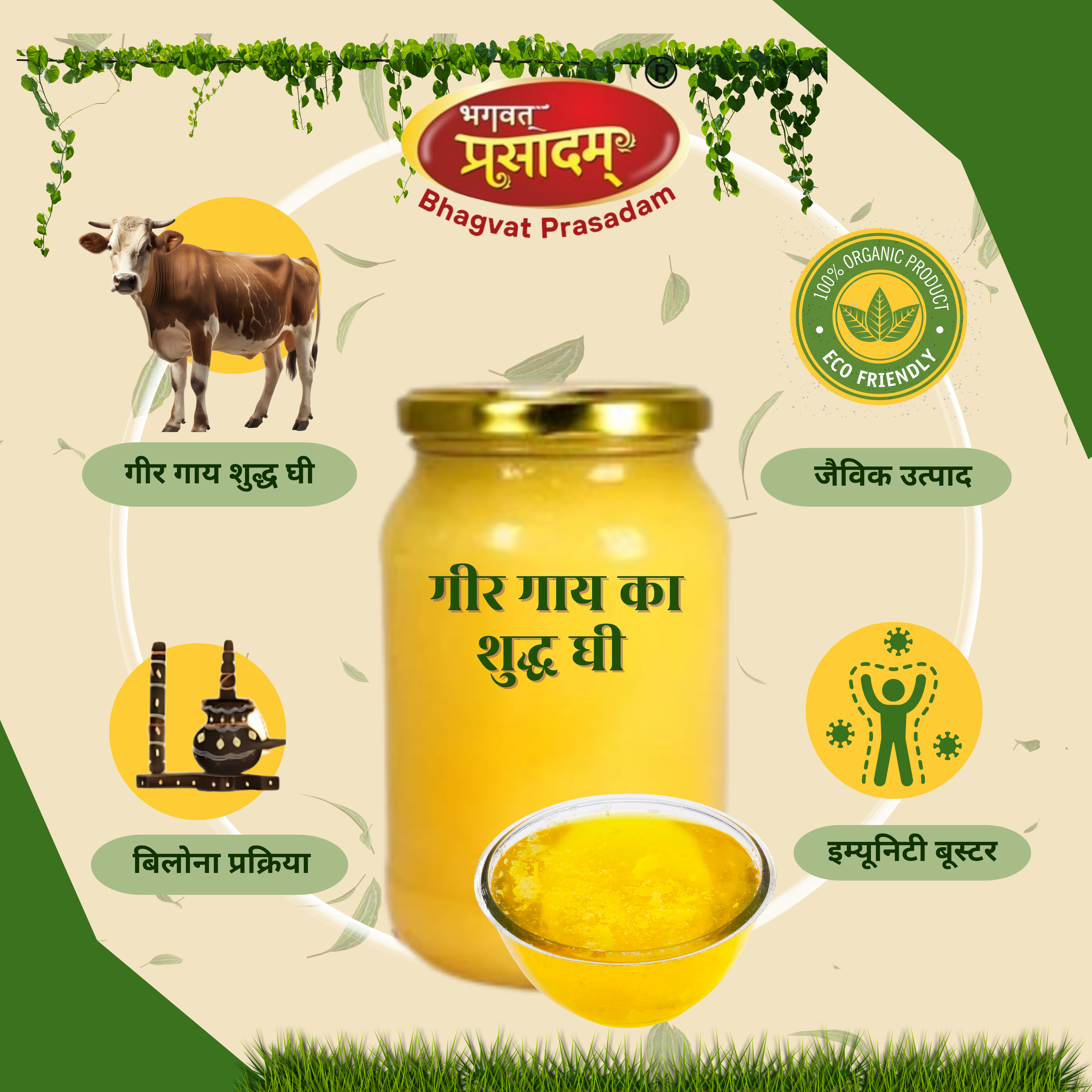 Premium ghee at low price