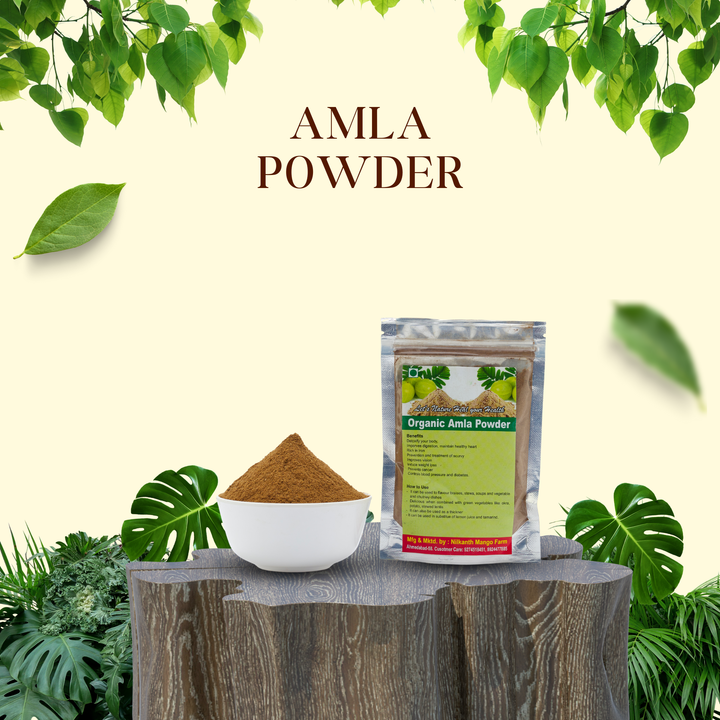 Amla Powder - आंवला पाउडर - Pure & Ayurvedic Indian Gooseberry Powder