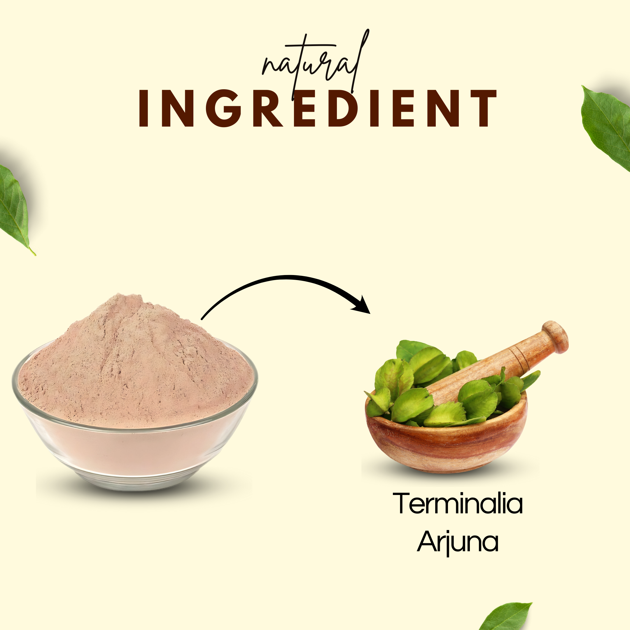 Arjun Powder | अर्जुन पाउडर | Ayurvedic powder