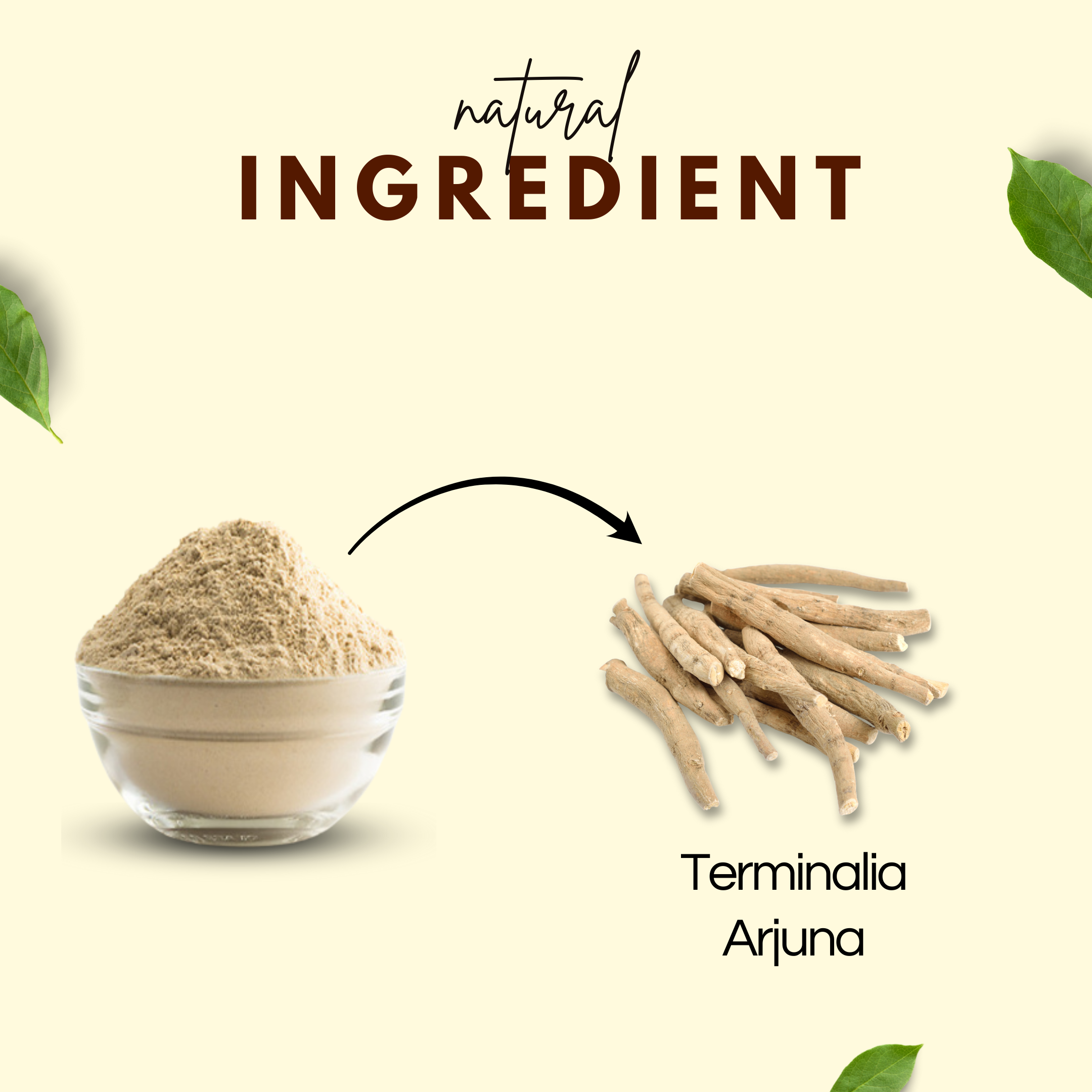 Ashwagandha Powder | अश्वगंधा पाउडर - Ayurvedic Vitality Booster