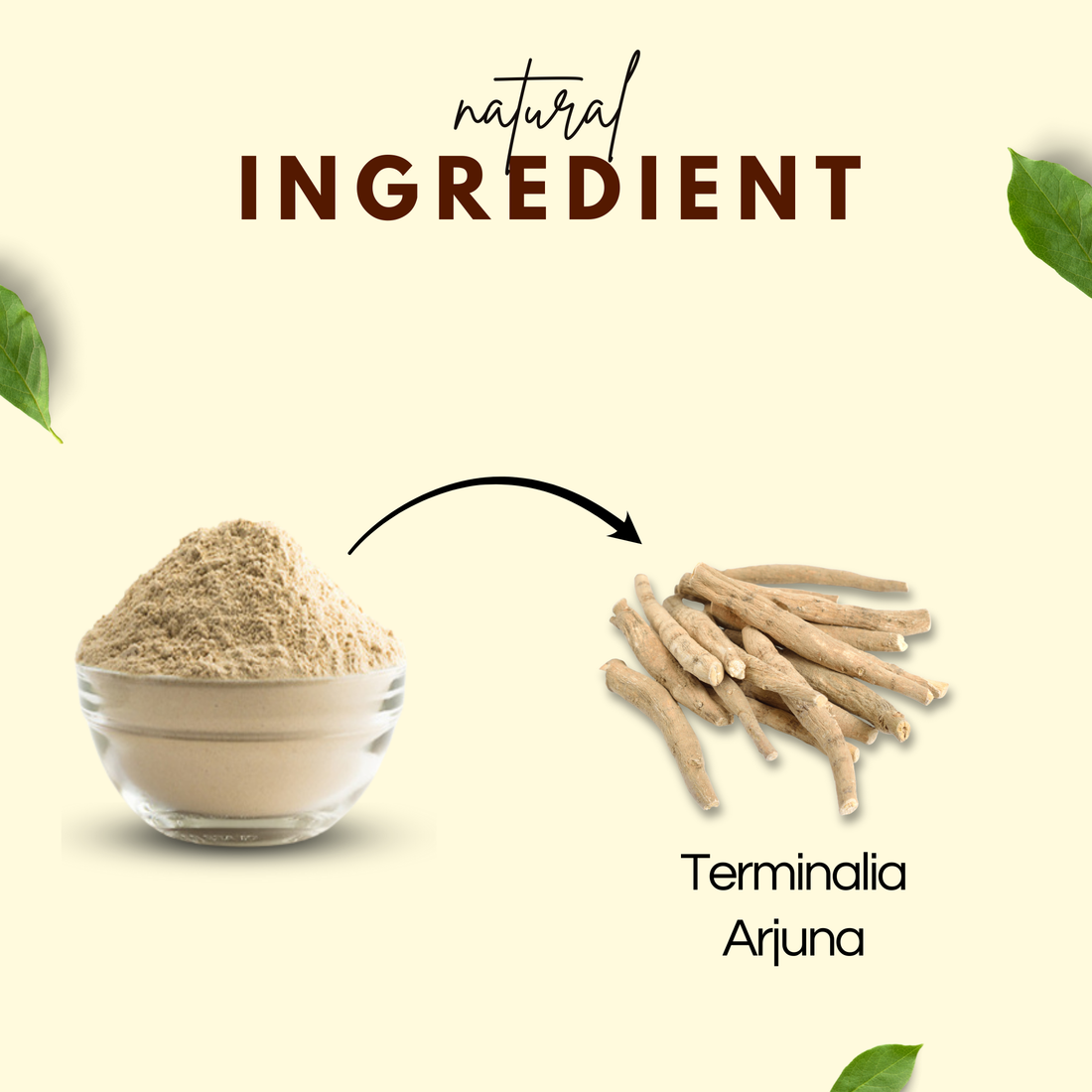 Ashwagandha Powder | अश्वगंधा पाउडर - Ayurvedic Vitality Booster