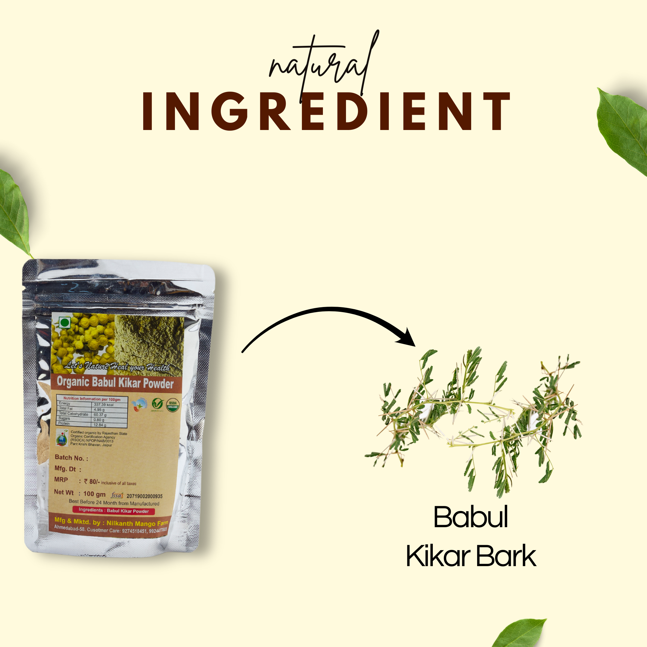 Babul Kikar Powder |  बबूल कीकर पाउडर | Natural Dental Care