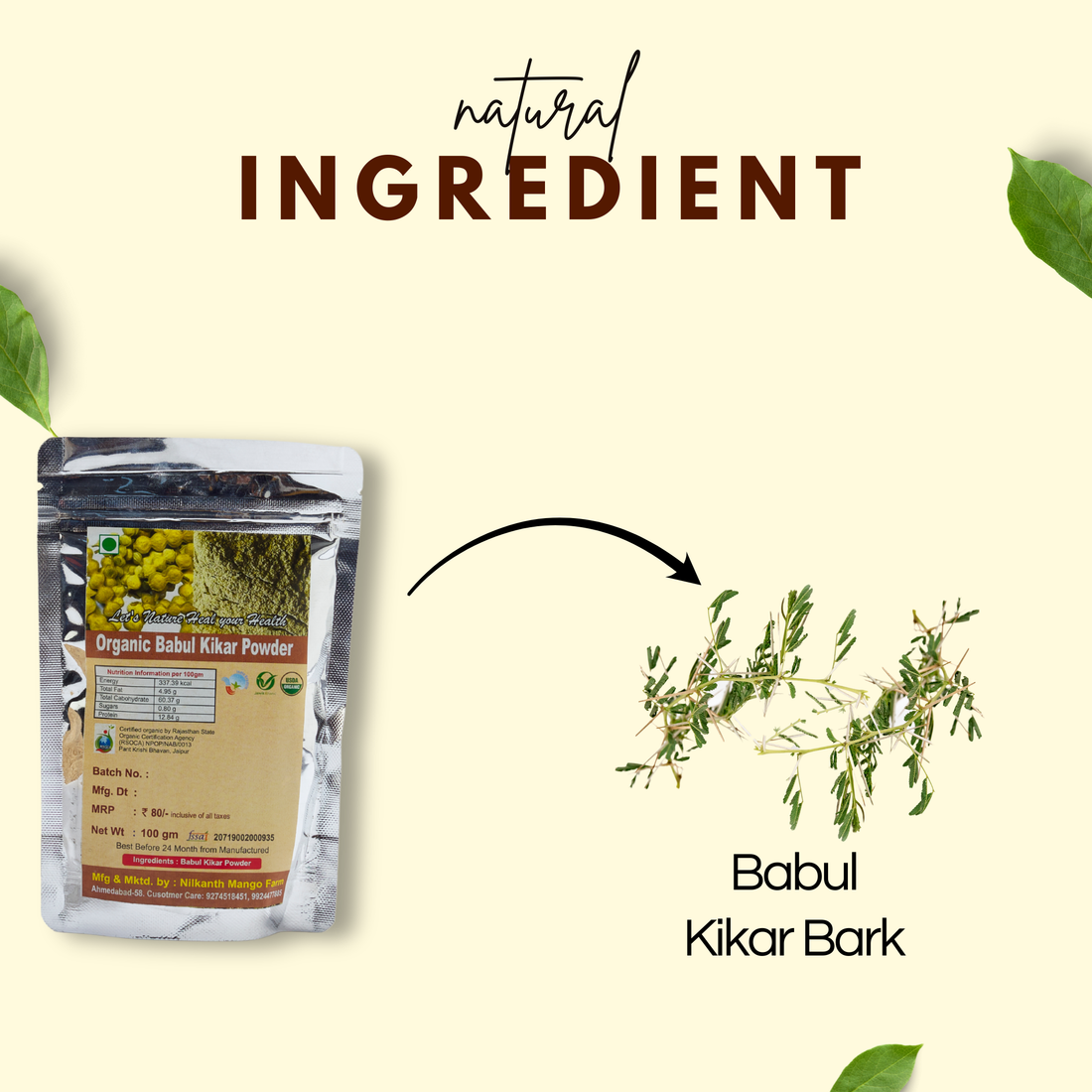 Babul Kikar Powder |  बबूल कीकर पाउडर | Natural Dental Care