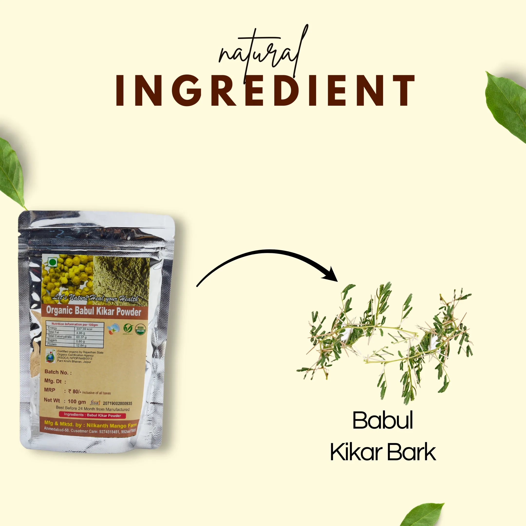 Babul Kikar Powder |  बबूल कीकर पाउडर | Natural Dental Care