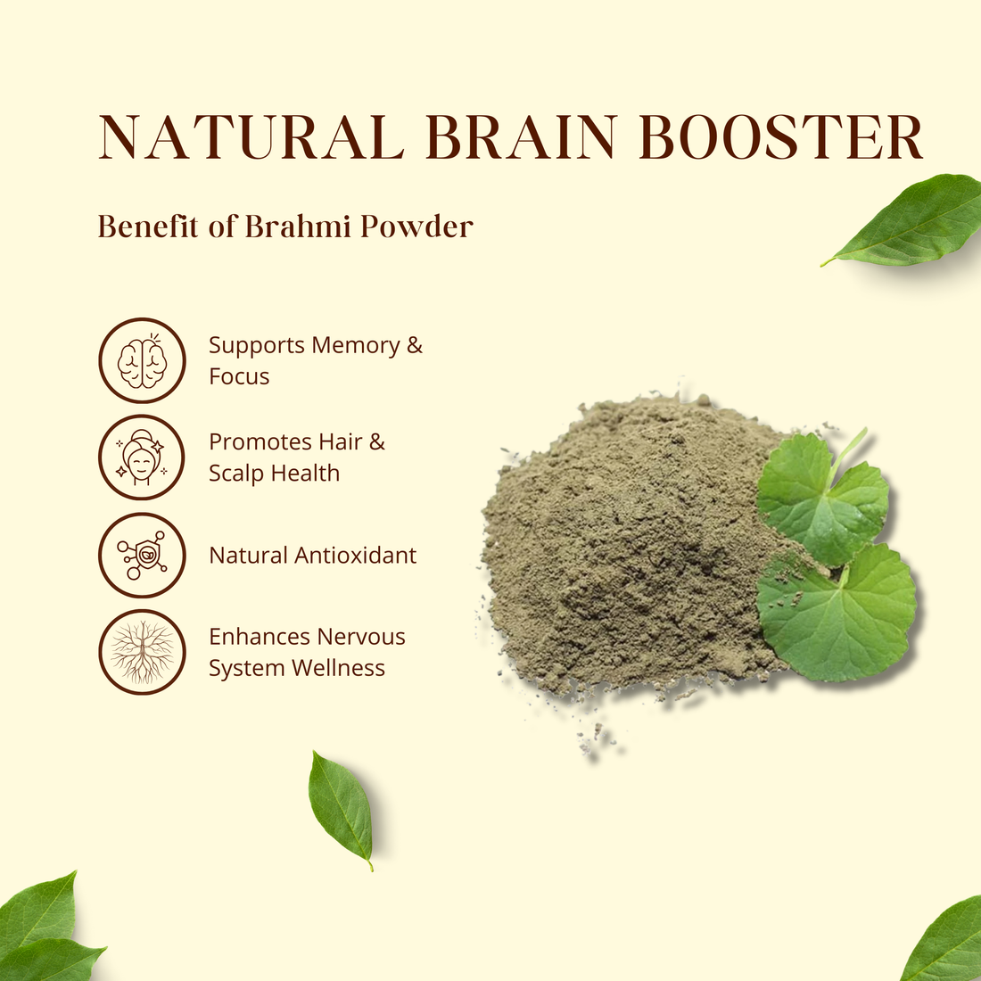 Brahmi Powder | ब्राह्मी पाउडर | Natural Brain & Memory Booster