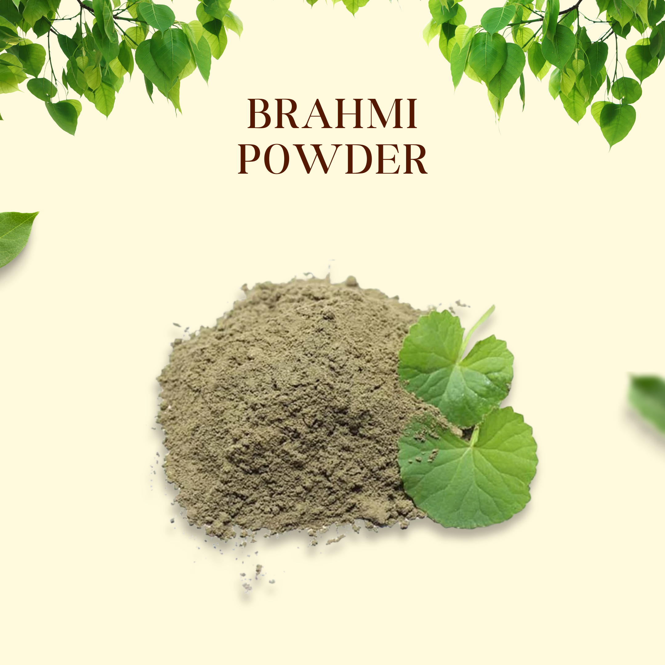 Brahmi Powder | ब्राह्मी पाउडर | Natural Brain & Memory Booster