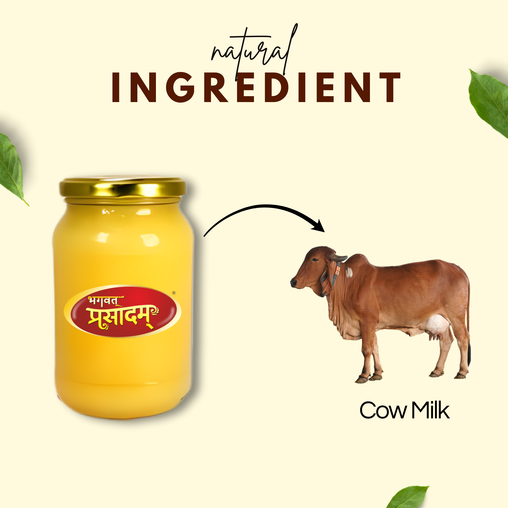 Cow Ghee | गाय का घी |  Pure Gir Cow Ghee
