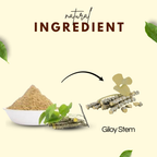 Giloy Powder | गिलोय पाउडर| Ayurvedic Immunity & Detox Booster