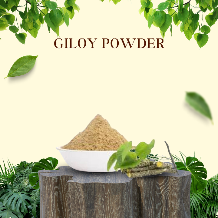 Giloy Powder | गिलोय पाउडर| Ayurvedic Immunity & Detox Booster