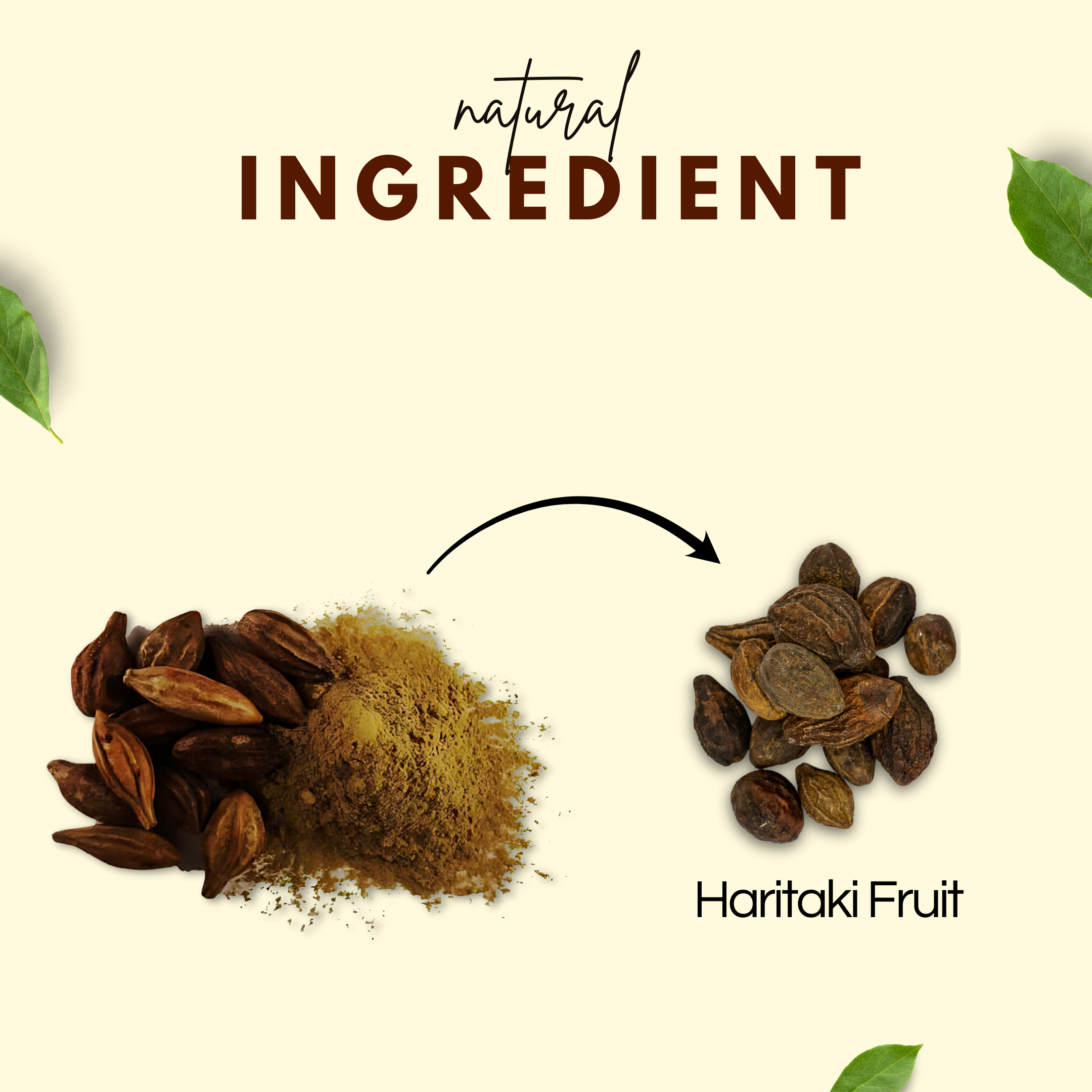 Harde Powder | हरड़े का पाउडर | Ayurvedic Haritaki for Digestion & Detox