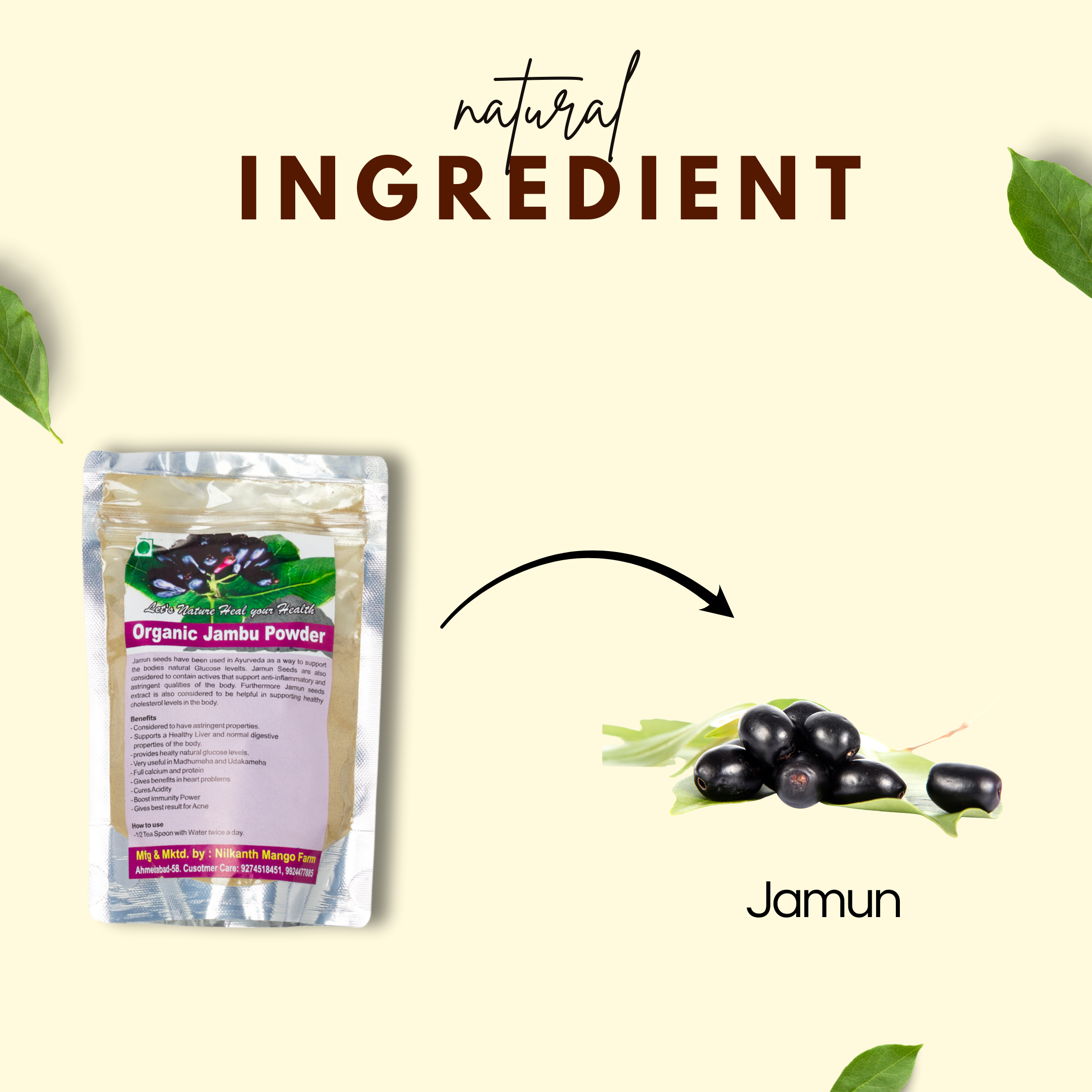 જામુન પાવડર - ભગવત પ્રસાદમ દ્વારા કુદરતી પૂરક