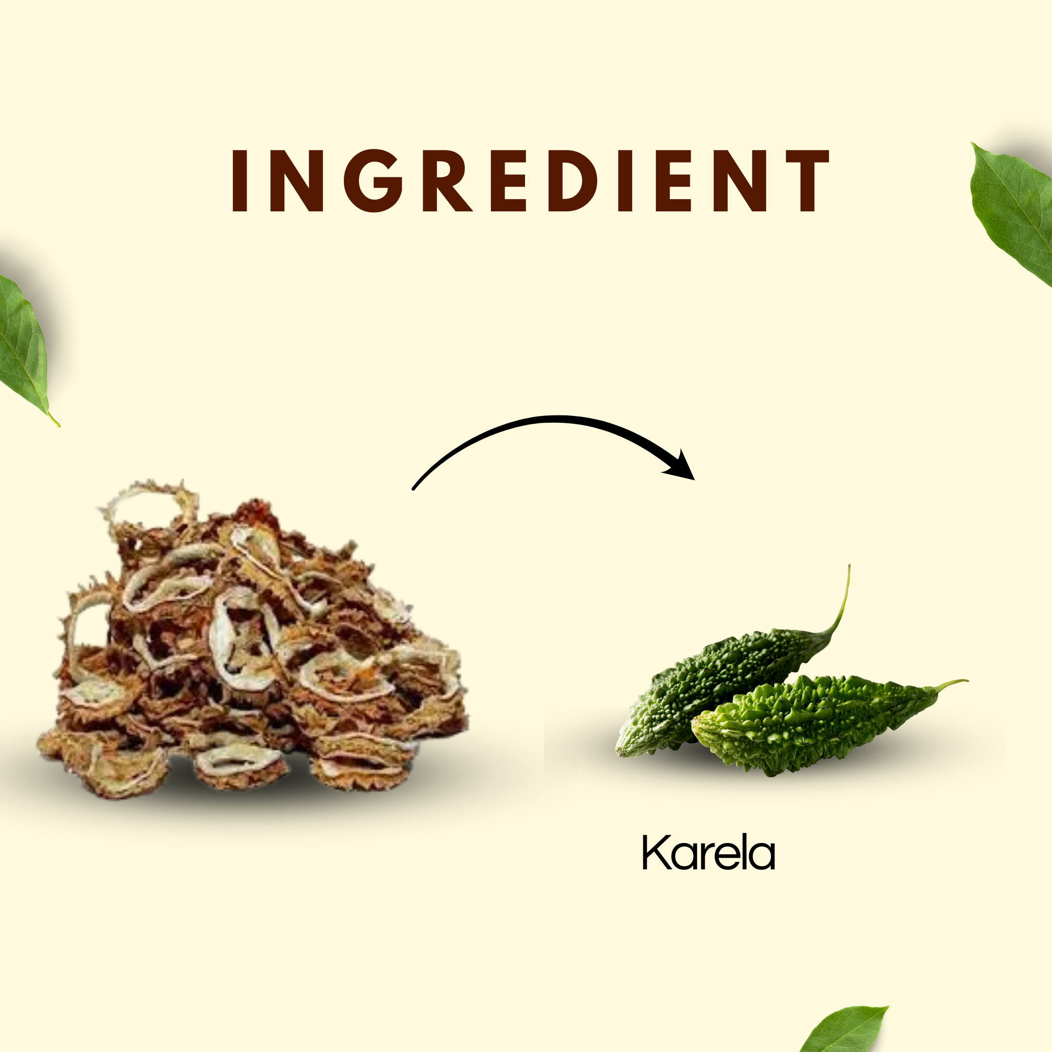 Karela Kashri | करेला कसरी | Dried Bitter Gourd