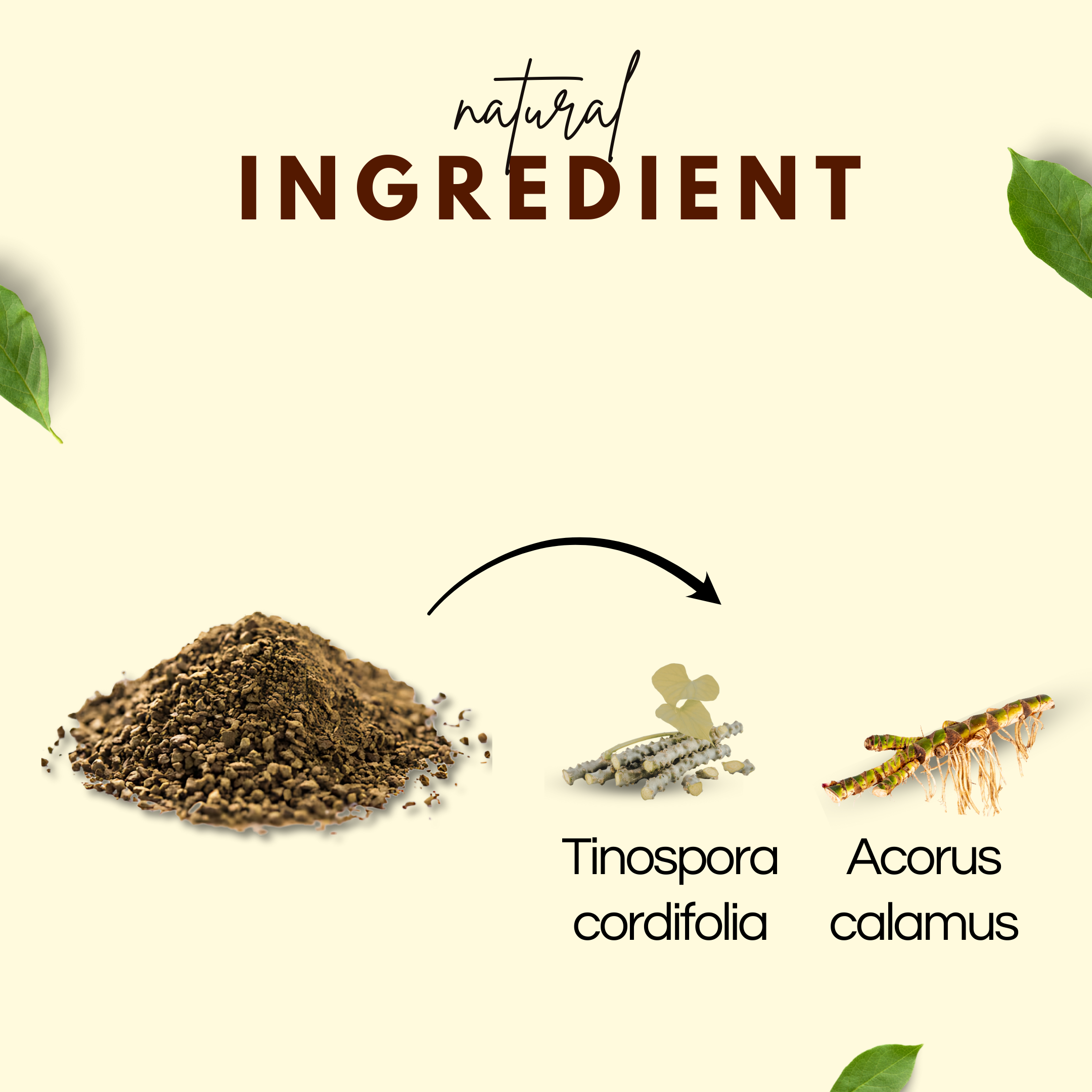 महासुदर्शन पाउडर 