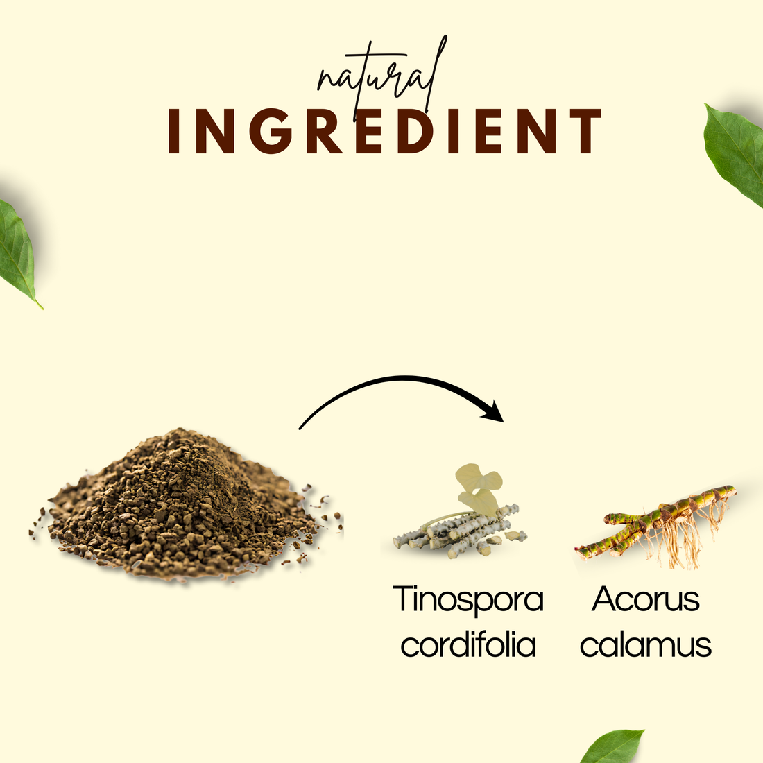 महासुदर्शन पाउडर 