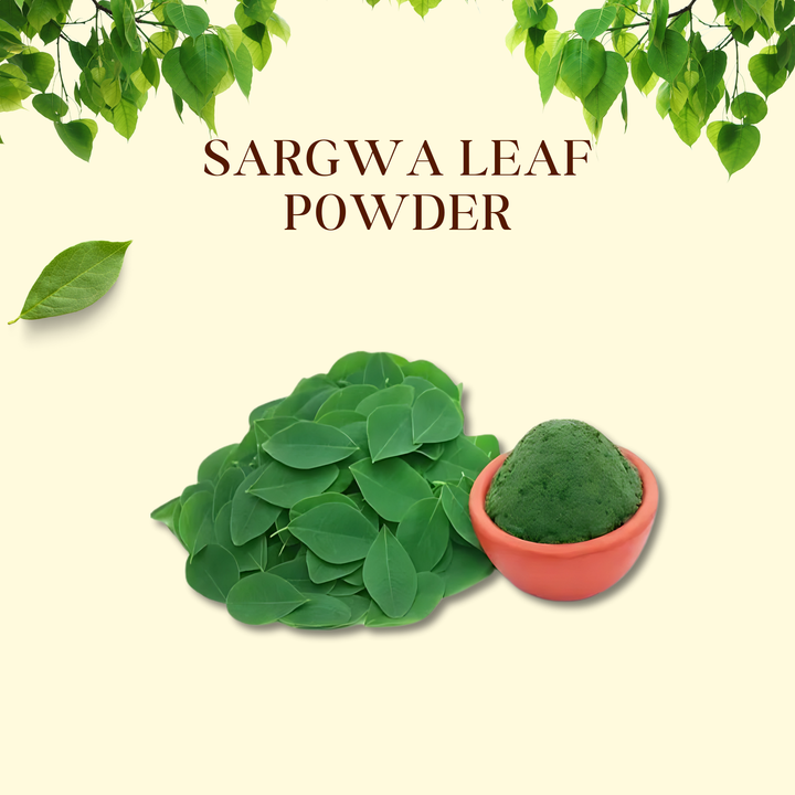 Sargwa Leaf Powder | Natural Ayurvedic Moringa Powder