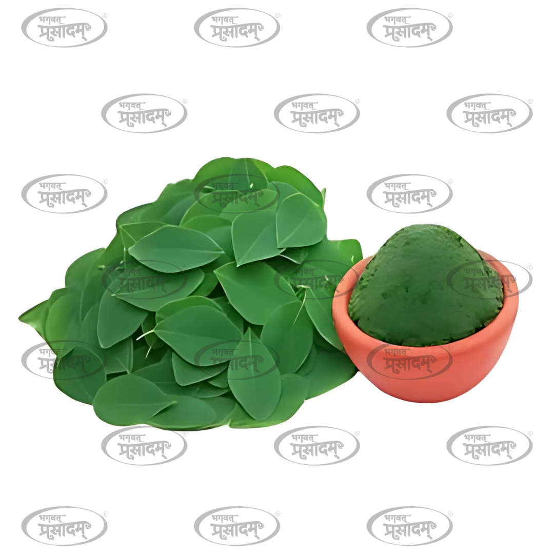 Natural Ayurvedic Sargwa Leaf Powder