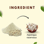 Satavari Powder | Natural Ayurvedic Herb