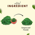 Sargwa Leaf Powder | Natural Ayurvedic Moringa Powder