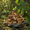 Karela Kashri - Dried Bitter Gourd - front pack image
