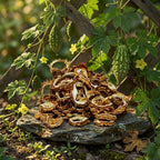 Karela Kashri - Dried Bitter Gourd - front pack image